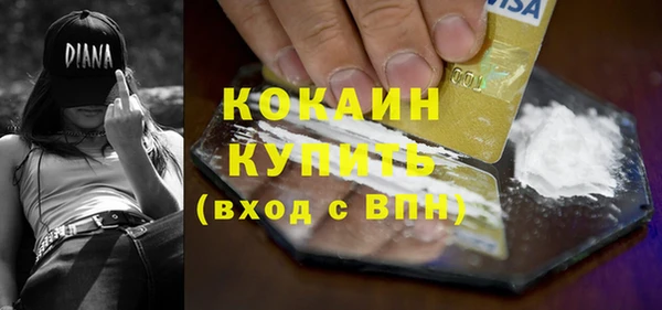 дурь Новодвинск