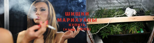 дурь Новодвинск