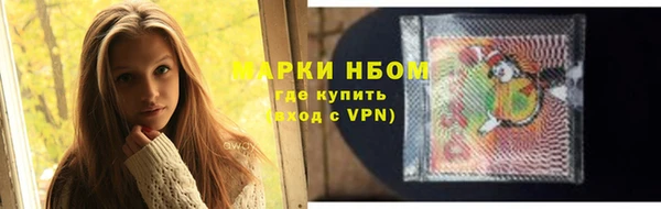 дурь Новодвинск
