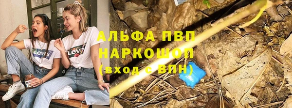 дурь Новодвинск
