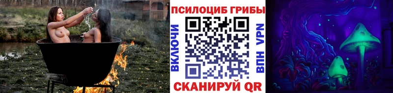дарнет шоп  Тосно  Псилоцибиновые грибы Psilocybe 
