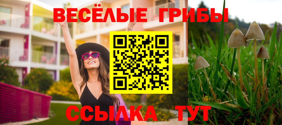 Галлюциногенные грибы Psilocybine cubensis  Вход с VPN  Тосно 
