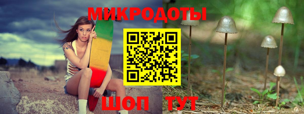 Псилоцибиновые грибы Psilocybine cubensis Тосно