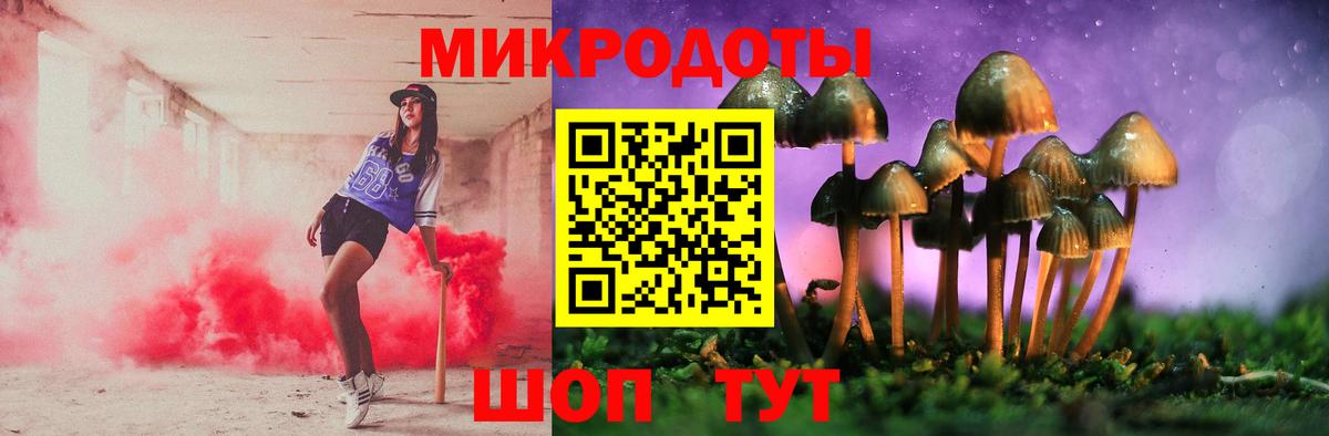 Галлюциногенные грибы Psilocybine cubensis Тосно