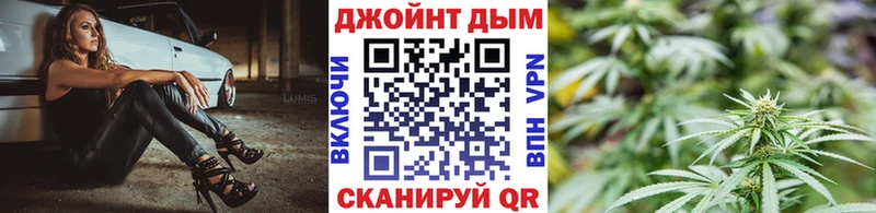 наркотики Тосно Бошки марихуана сатива