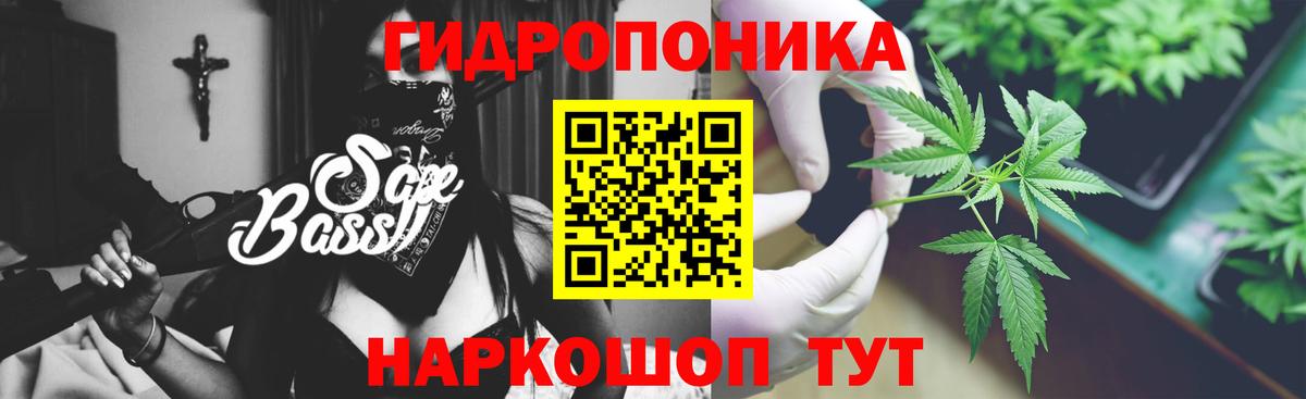 Шишки марихуана индика Тосно